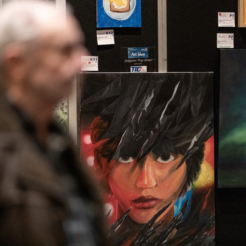 Artwork with intense stare toward the viewer - Indigenous Art Prize winning painting